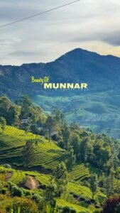 Munnar–Thekkady Kerala Explorer