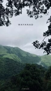 Wayanad Wildlife & Nature Retreat