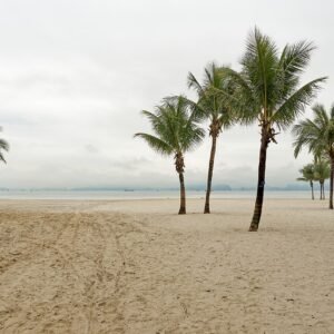 Cozy Bay Day Cruise: Ha Long Bay, Sung Sot & Ti Top