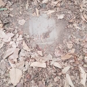 Cu Chi Tunnels Half-Day Tour