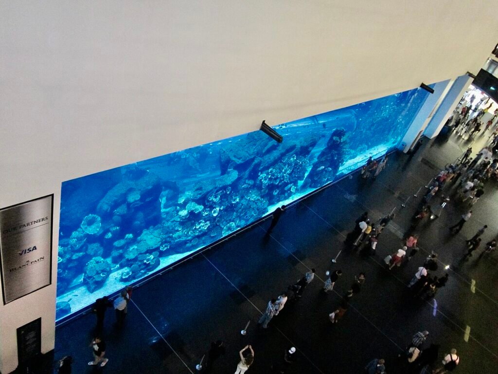 Dubai Aquarium & Underwater Zoo